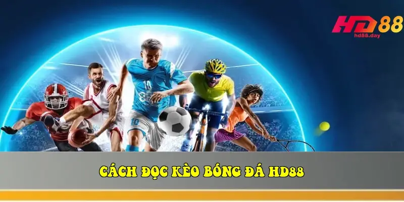 Cách đọc kèo bóng đá HD88 Cách đọc kèo bóng đá HD88